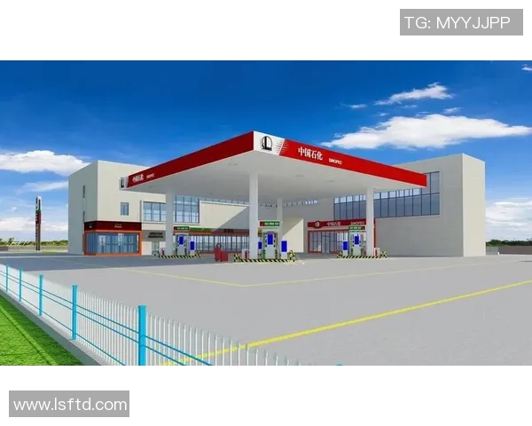 重庆排球队的转型升级之路探索与未来展望